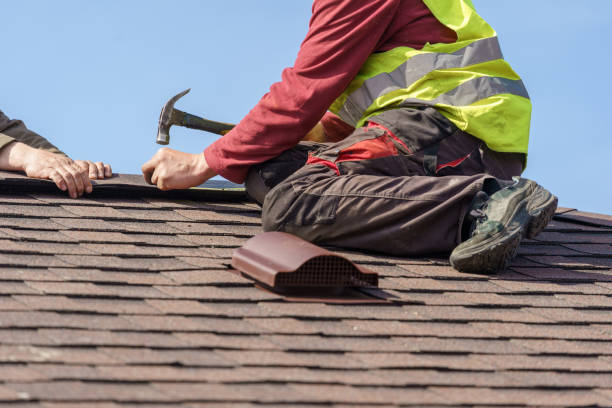 Best Roof Gutter Cleaning  in Brilliant, AL