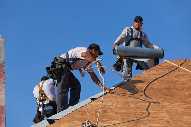 Best Roof Leak Repair  in Brilliant, AL