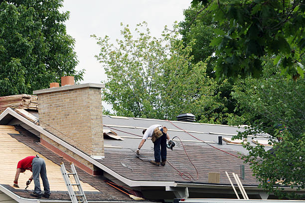 Best Shingle Roofing Installation  in Brilliant, AL