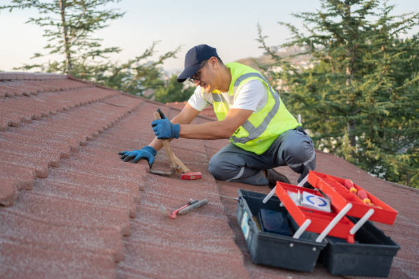 Best Roof Repair Services  in Brilliant, AL