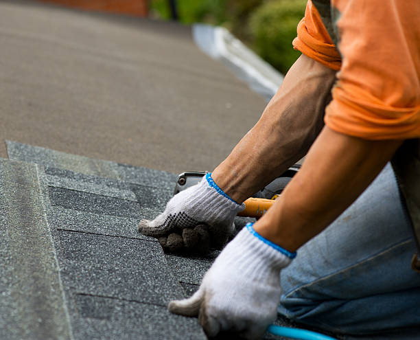 Best Roof Repair Services  in Brilliant, AL
