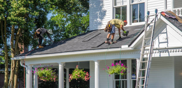 Best New Roof Installation  in Brilliant, AL