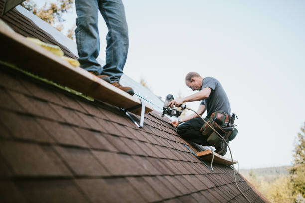 Professional Roofing Contractor in Brilliant, AL