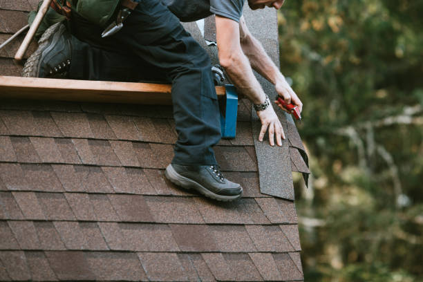 Best New Roof Installation  in Brilliant, AL