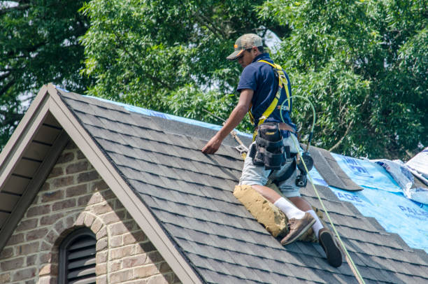Best Storm Damage Roof Repair  in Brilliant, AL